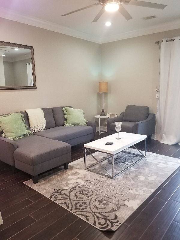 Living room / with sleeper bed