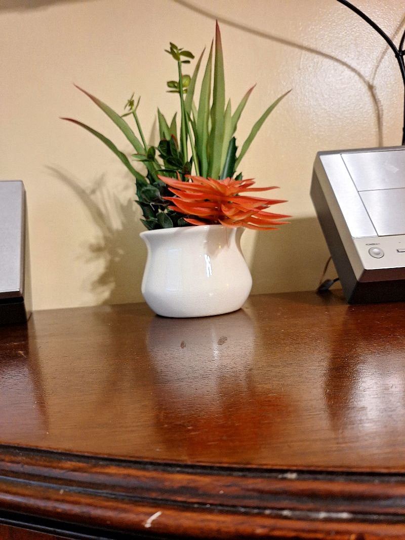 Furnished Finder property 339952_1 photo 15