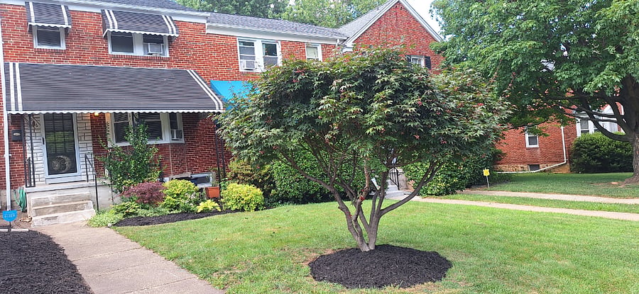 Furnished Finder property 339952_1 photo 32