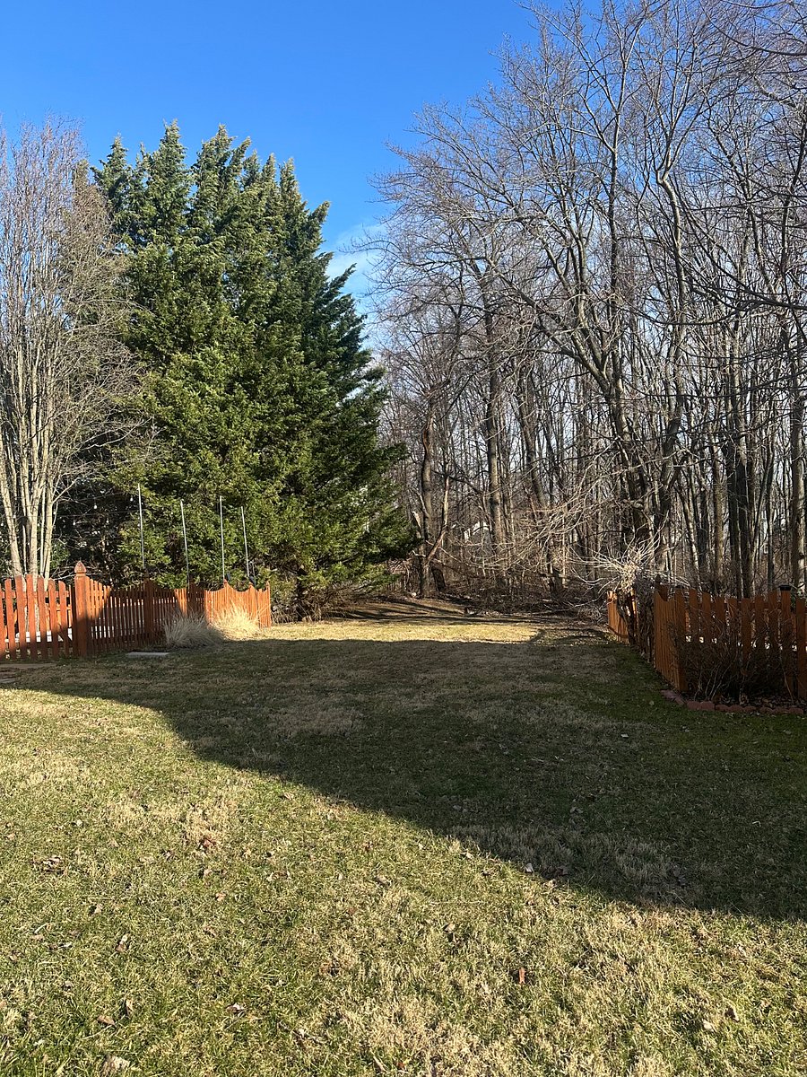 Furnished Finder property 340182_1 photo 8