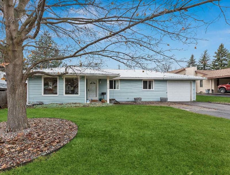 Front yard with Maple tree in early spring