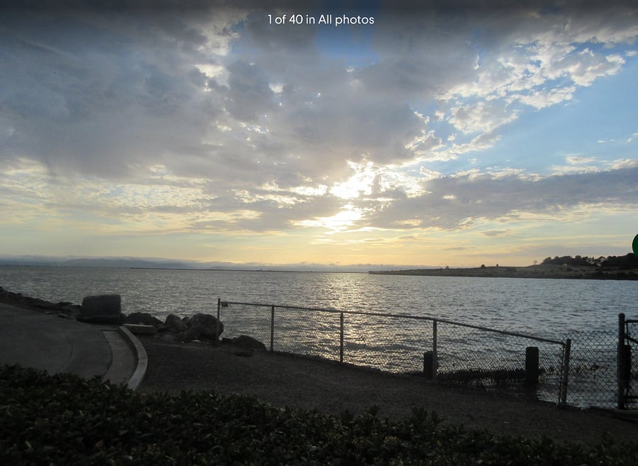San Leandro Marina 
