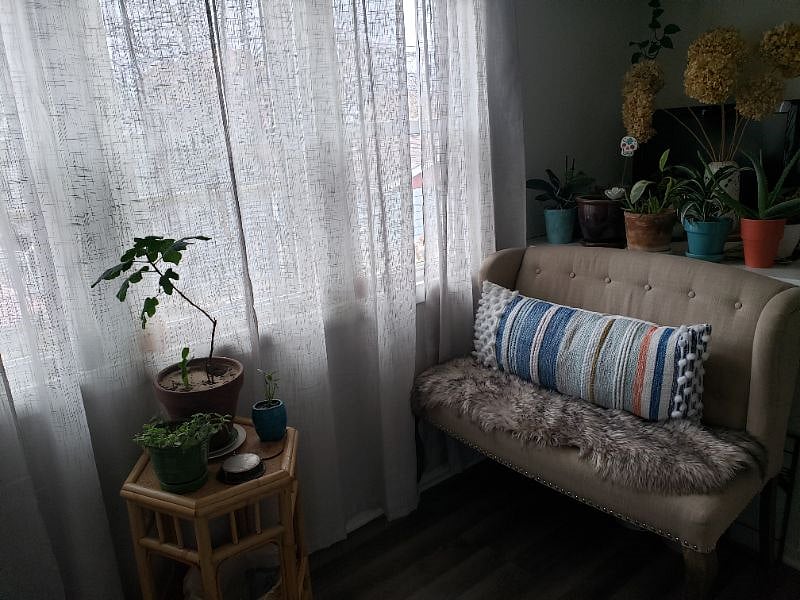 Furnished Finder property 340422_1 photo 4