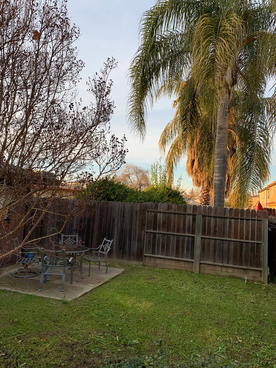 Furnished Finder property 340473_1 photo 22