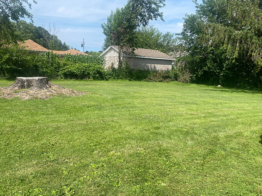 Large yard