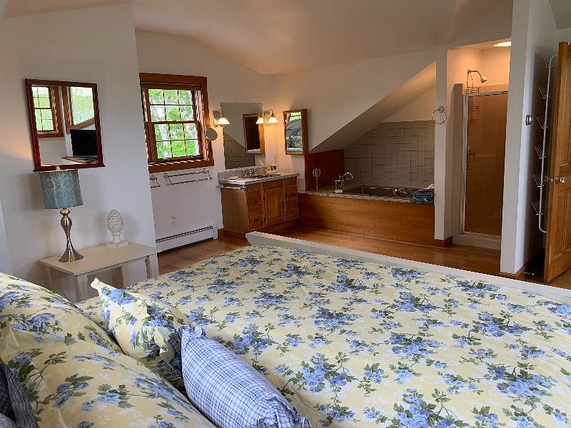 Master bedroom with Jacuzzi