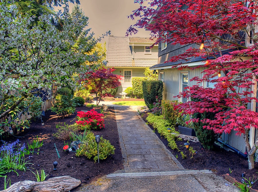 Furnished Finder property 340831_1 photo 14