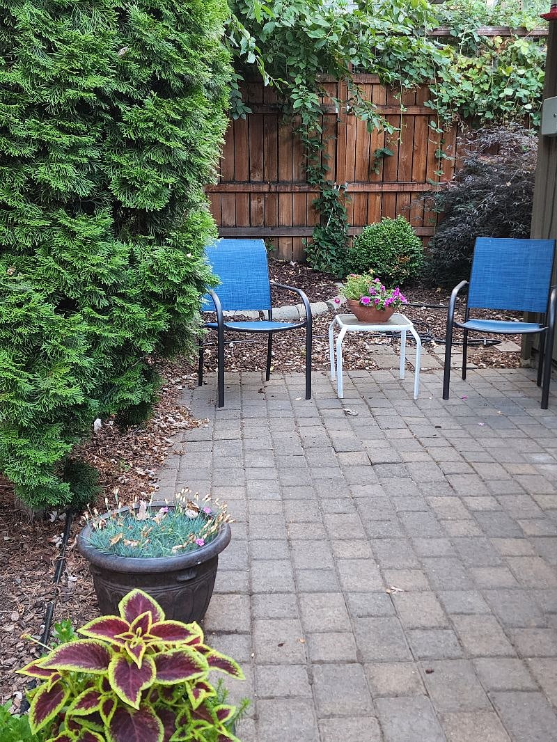 Furnished Finder property 340889_1 photo 21