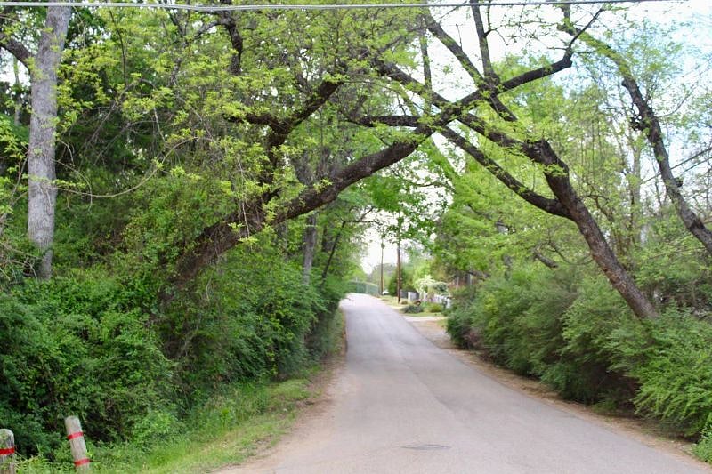 Enjoy the local trails to enjoy nature