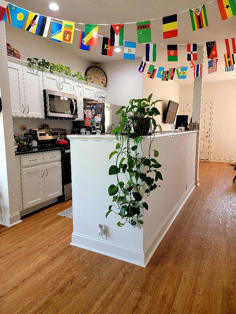 Furnished Finder property 340969_1 photo 4