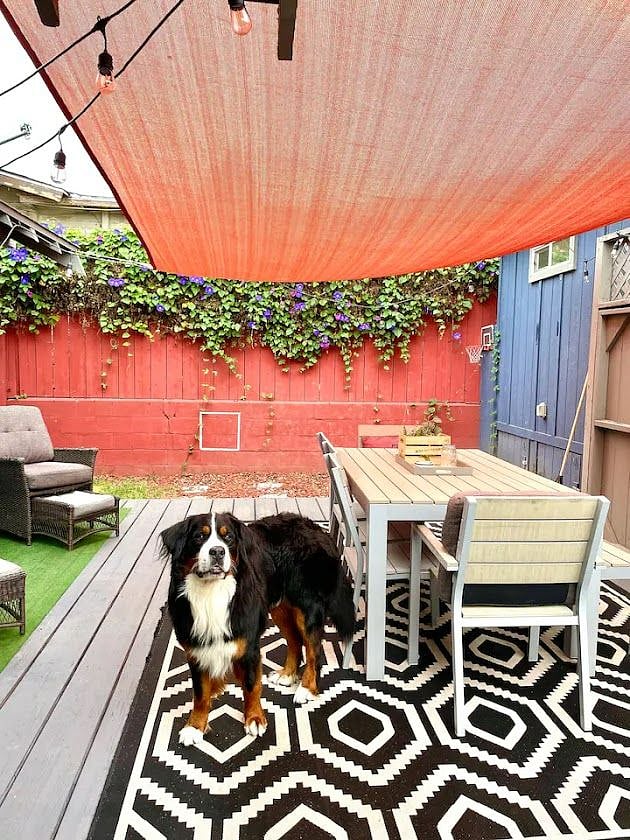 Furnished Finder property 341085_1 photo 30