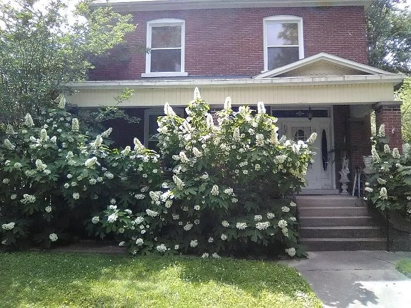 Furnished Finder property 341179_1 photo 7