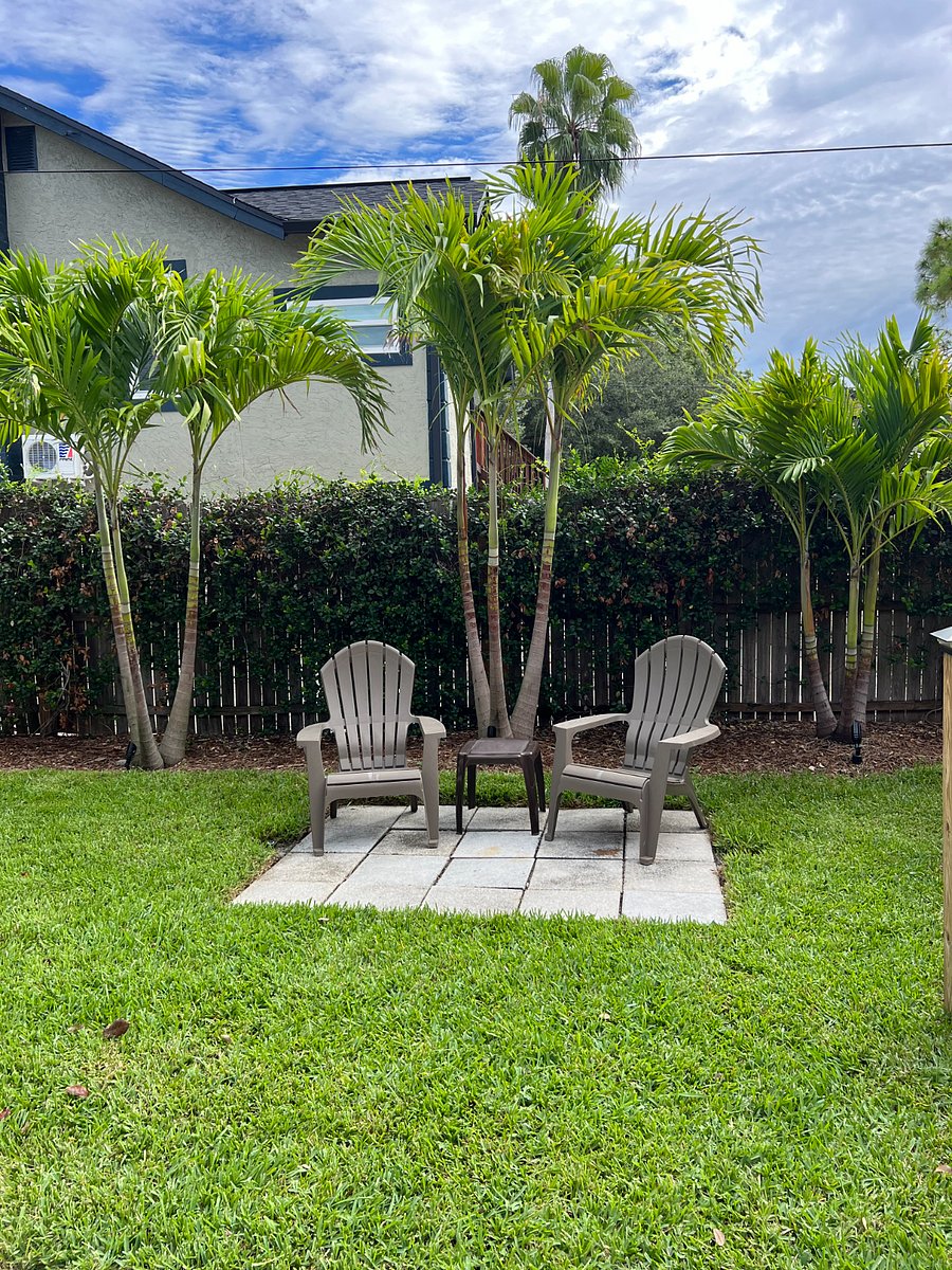 Furnished Finder property 341516_2 photo 14