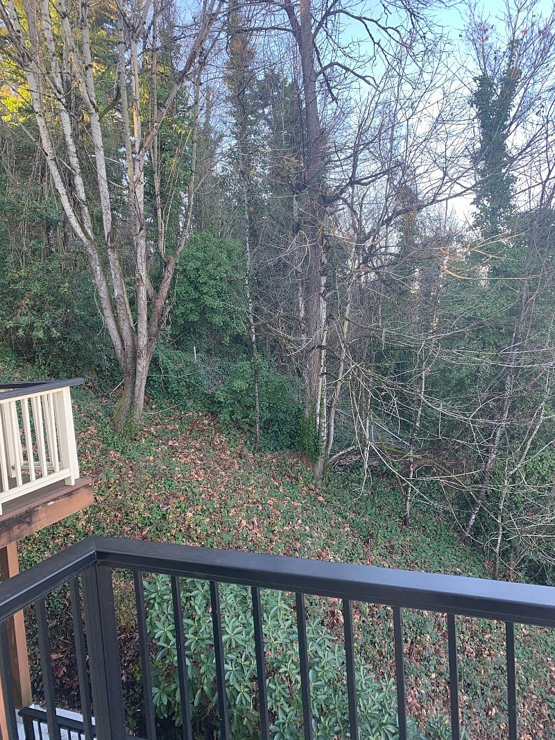 Furnished Finder property 341534_1 photo 10