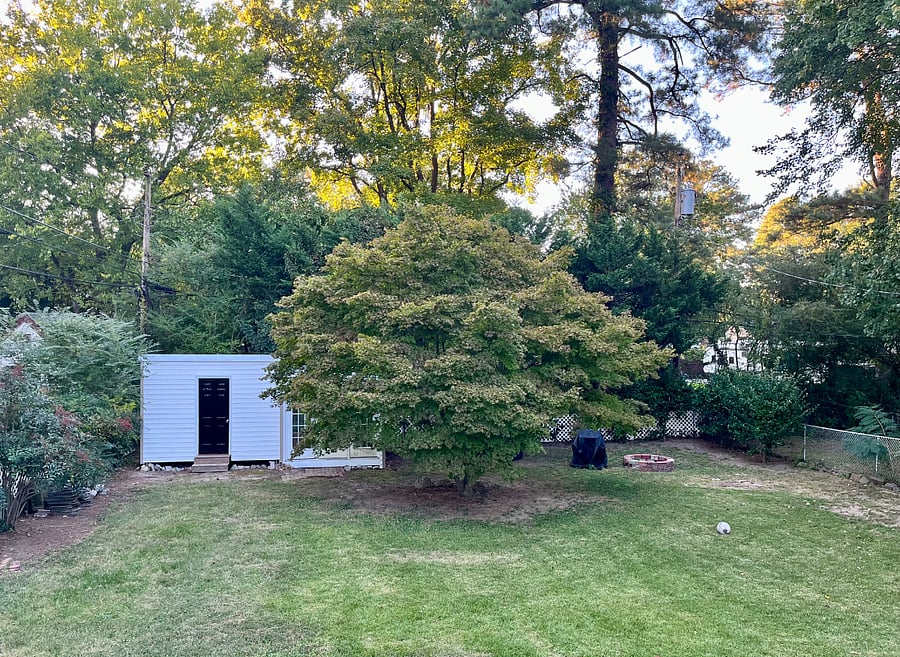 Furnished Finder property 341565_1 photo 16