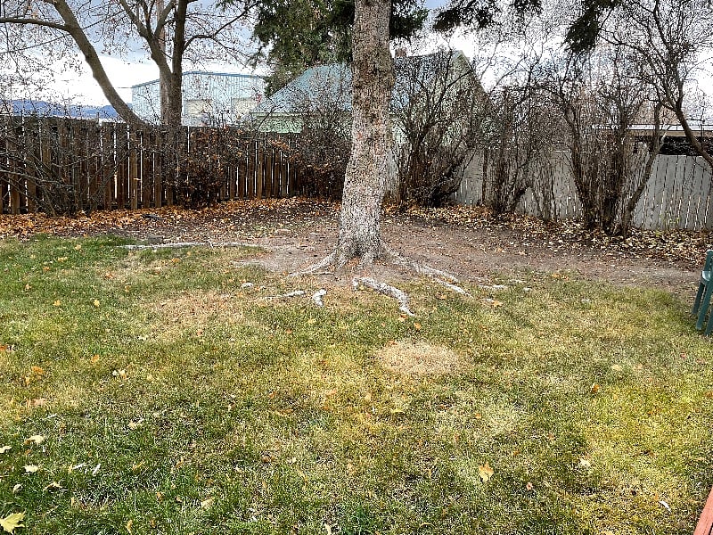 Furnished Finder property 341674_1 photo 7