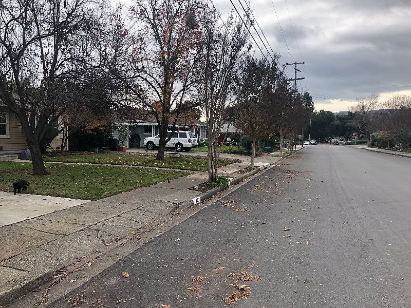 South view of our large, tree lined street