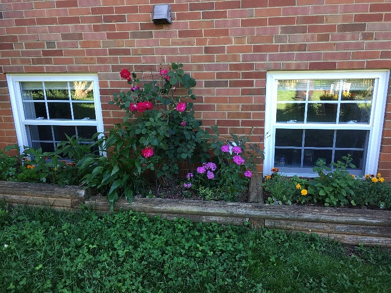 Apartment's southern exposure exterior kitchen windows