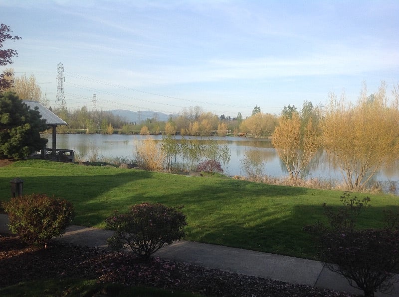 Furnished Finder property 341795_1 photo 17