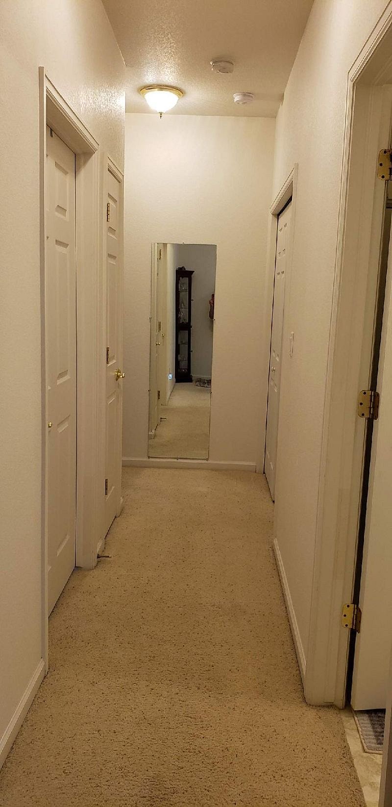 Furnished Finder property 341848_1 photo 11