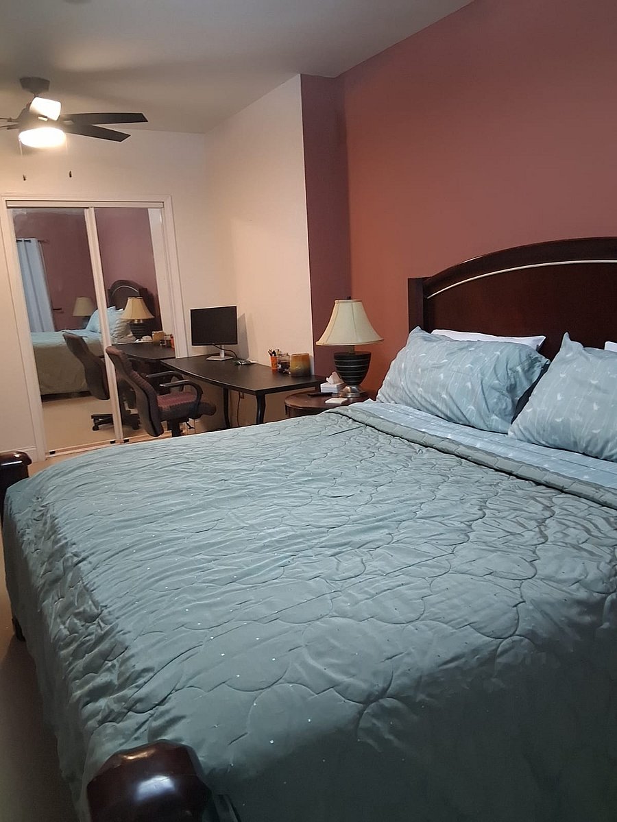 Furnished Finder property 341854_1 photo 10