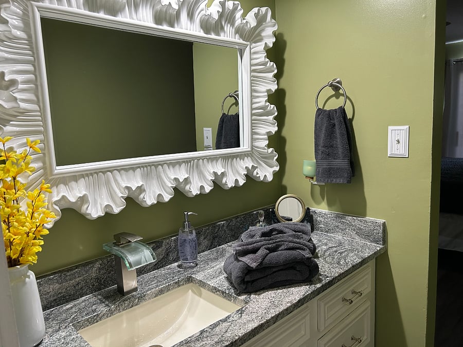 Master bedroom bathroom