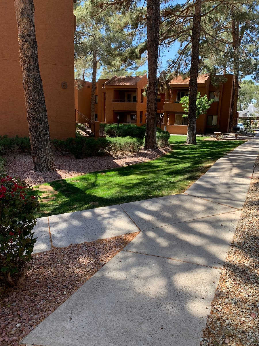 Furnished Finder property 342154_1 photo 9