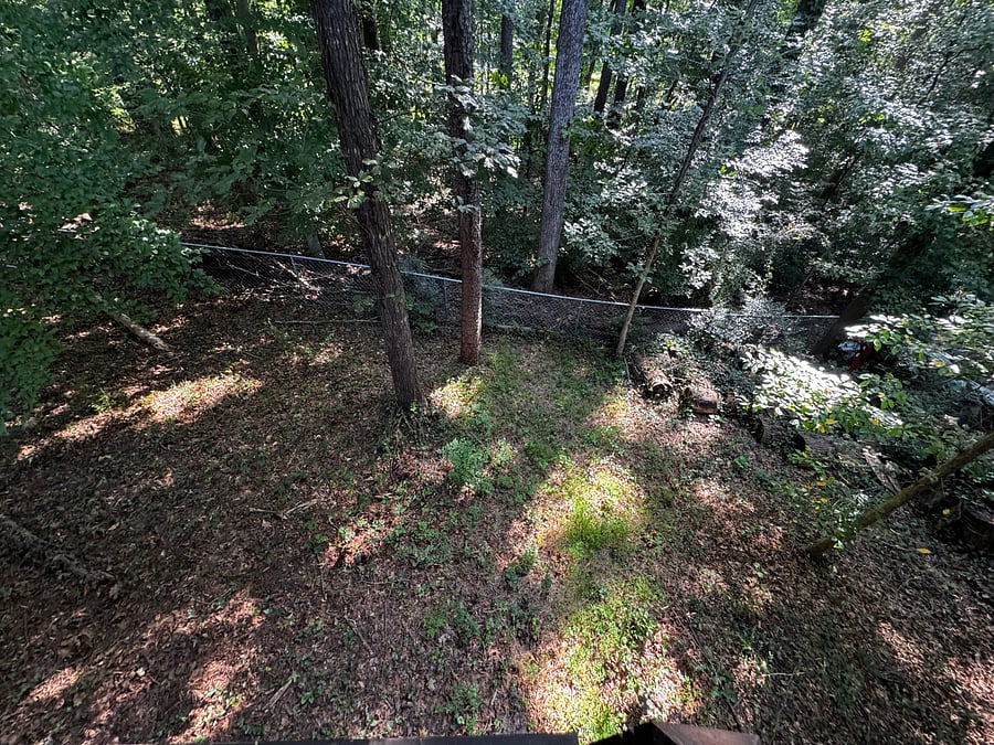 Wooded area, fully fenced 