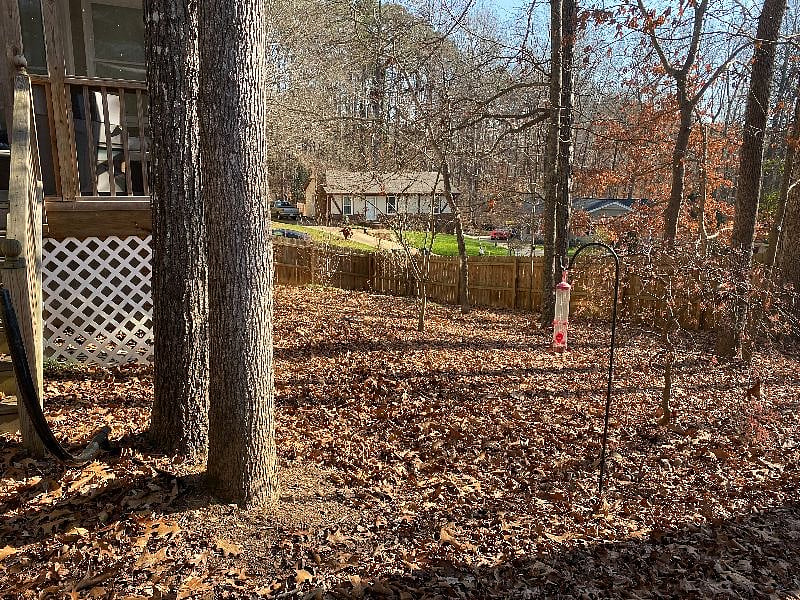 Large, fenced-in yard is mostly natural area.
