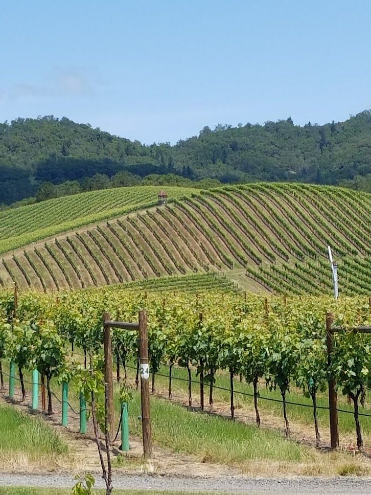 One of forty or more wineries.
Many local breweries.