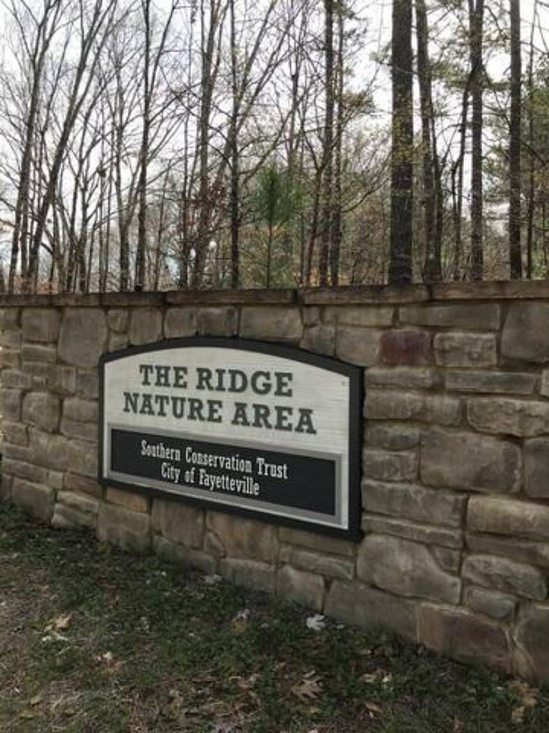 Hike, Canoe, Birdwatch without leaving the neighborhood. We're LITERALLY right next door to the Ridge Nature Area Reserve.