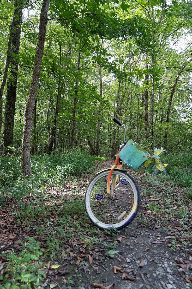 Need an artsy set of wheels to explore the nature trails? Give the House Bike a spin.. It's all yours for the duration of your stay.