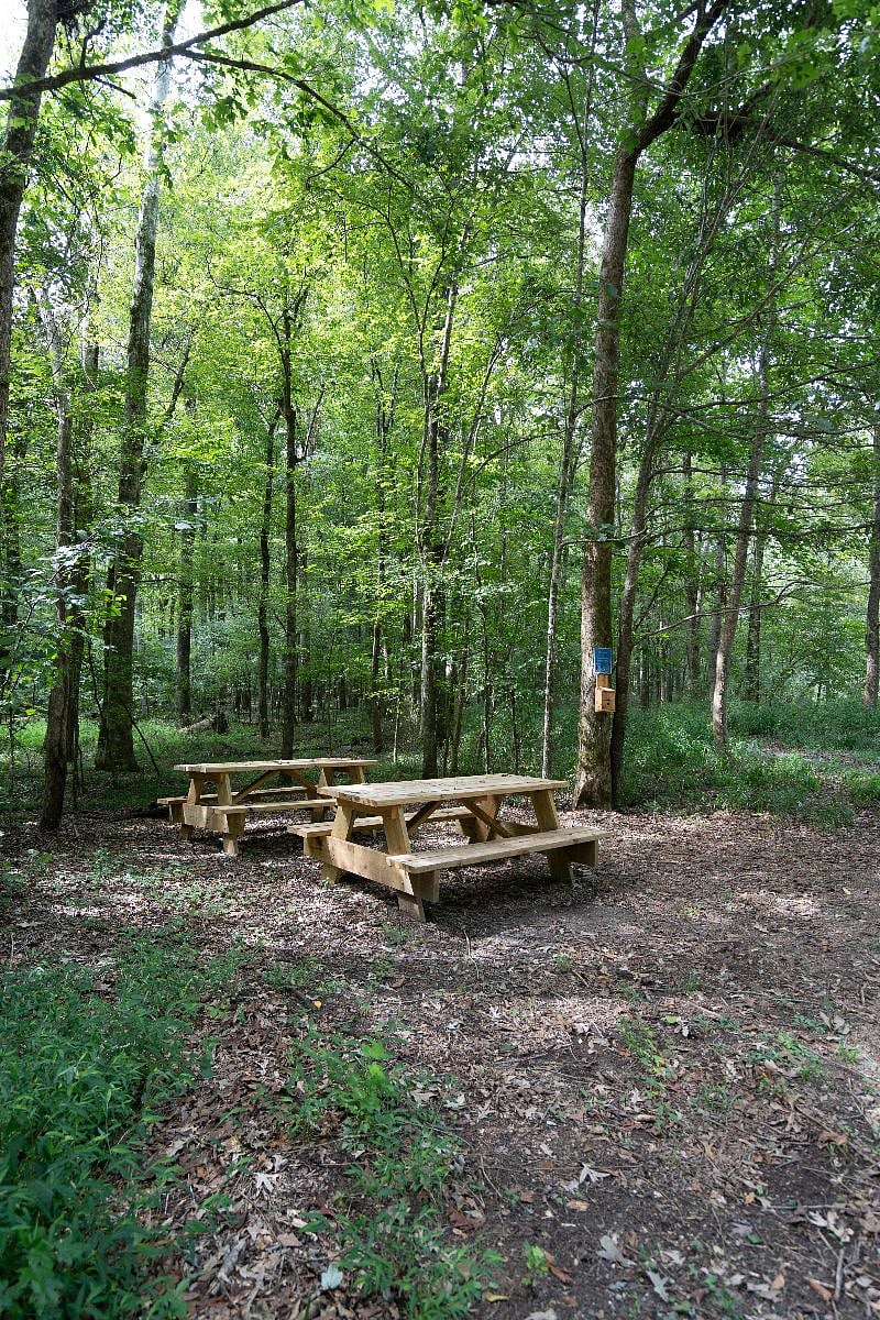 Enjoy a totally private picnic just steps from your bold relaxing space.