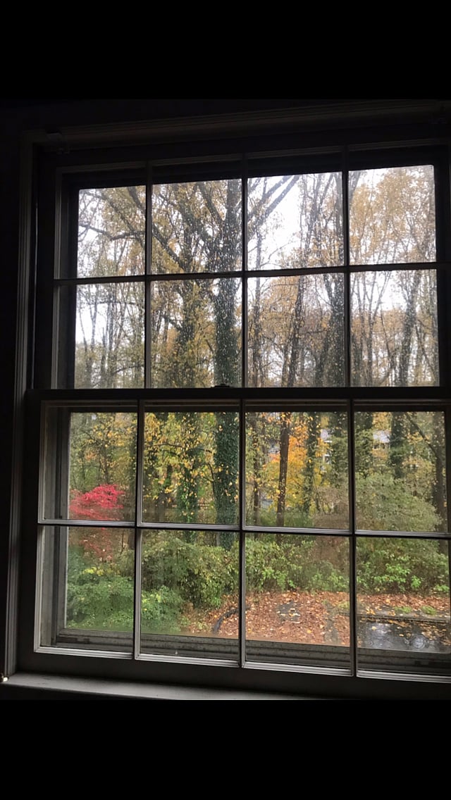 View to the Backyard from Bedroom #1