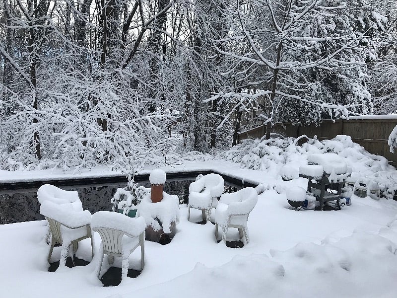 View to the Backyard from the 1st floor Screened Porch (Snow Day 1/3/22)
