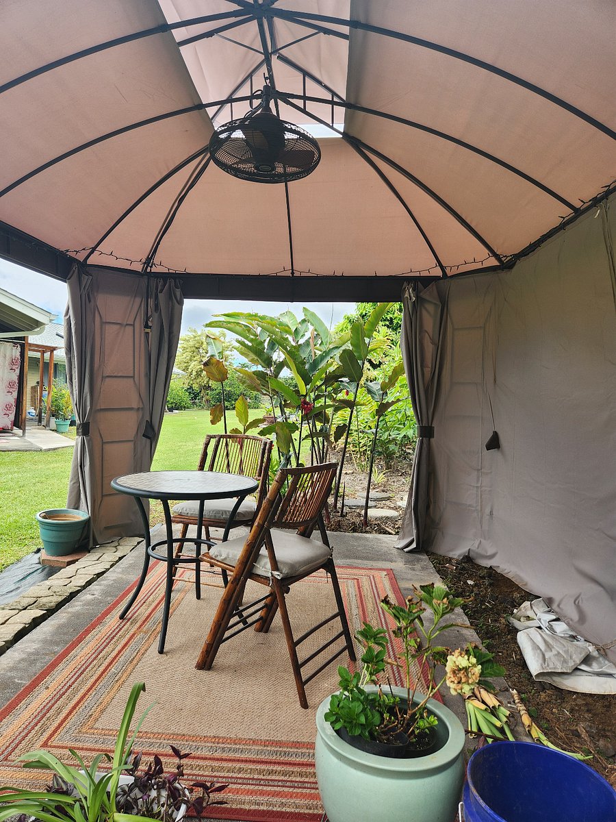 Furnished Finder property 343965_1 photo 11
