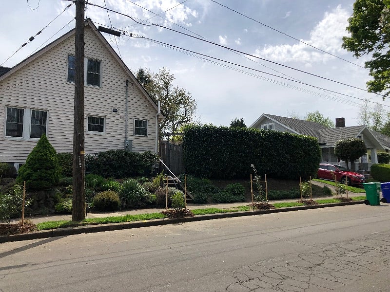 New shrubs planted in planting strip. Shows parking area.