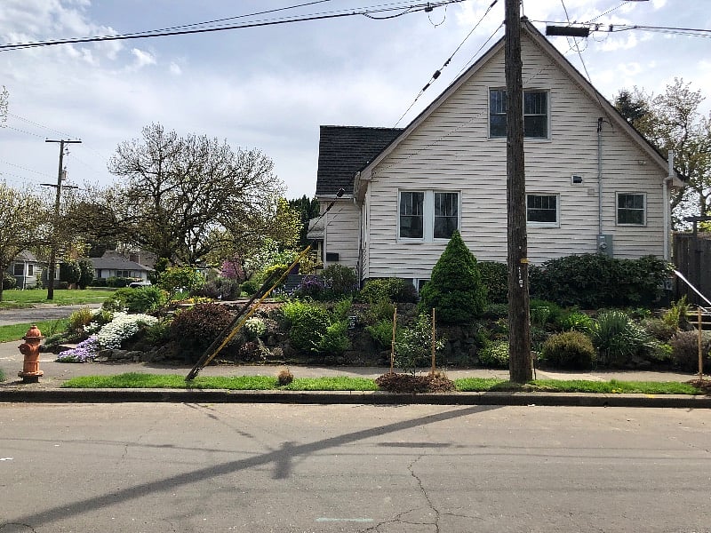 Street parking and new shrubs.