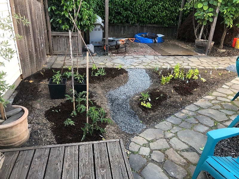 First garden attempt this year was mildly successful! Will try again next year.