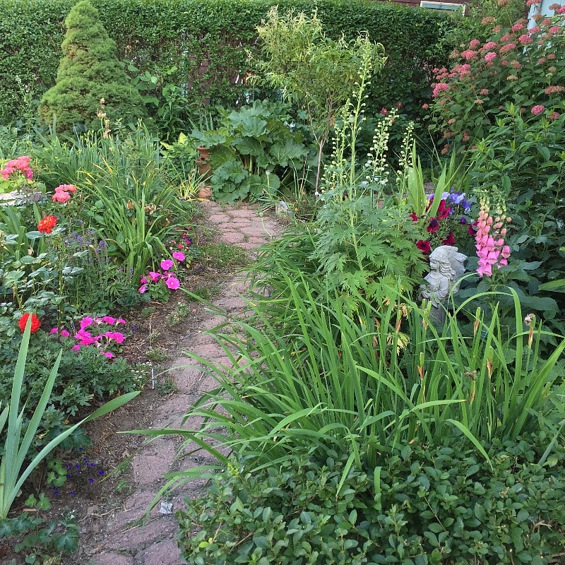 Front perennial flower garden.