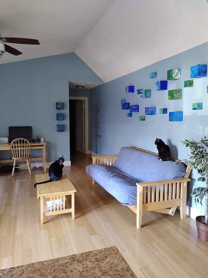 Bright, spacious living room/main area. (Cats not included!)