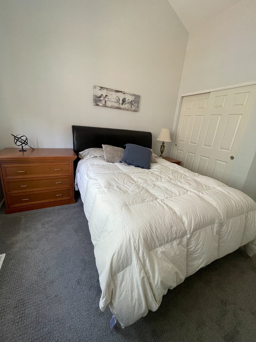 Furnished Finder property 344296_1 photo 3