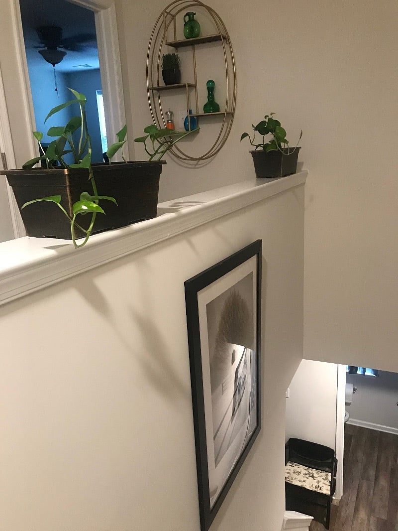 Furnished Finder property 344300_1 photo 12