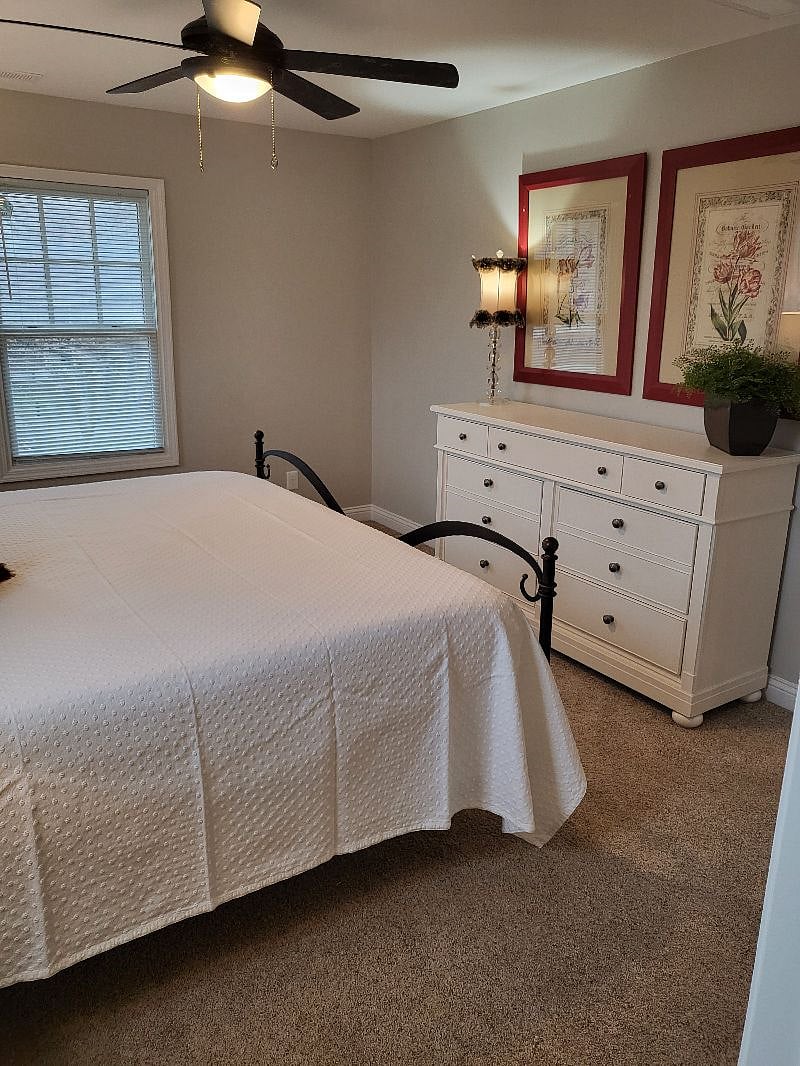 Furnished Finder property 344436_1 photo 5