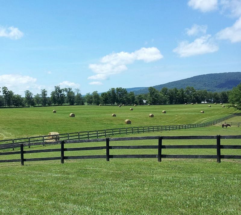 Spring hay harvest