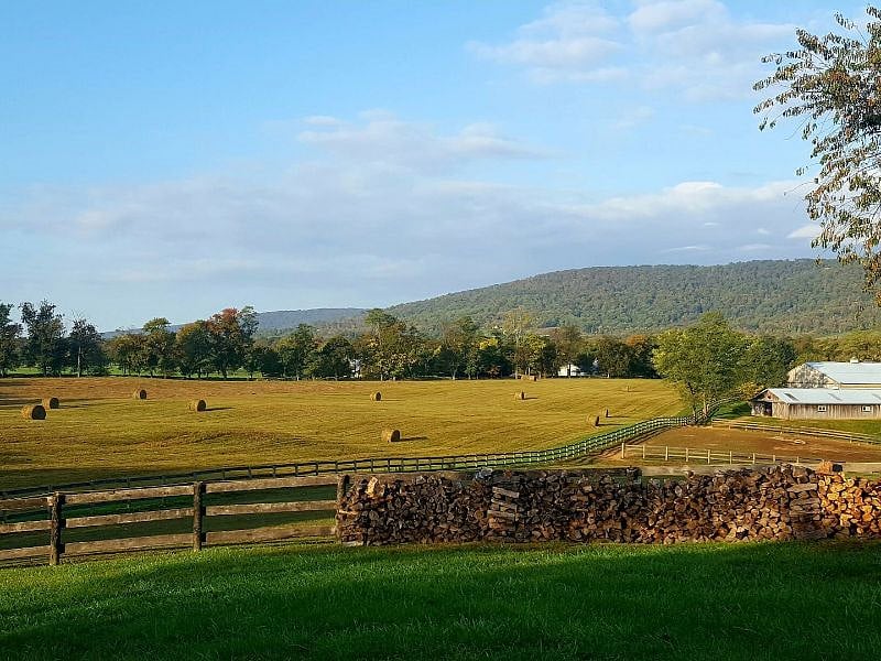 Autumn hay harvest