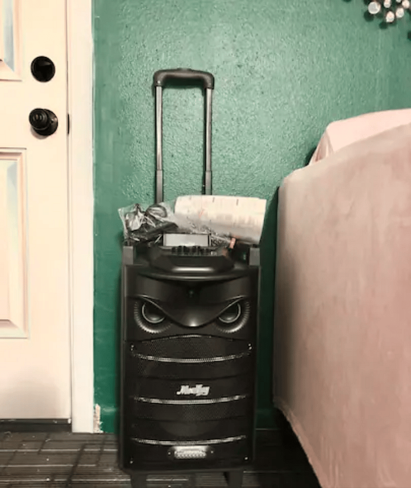 Karaoke machine with 2 mics