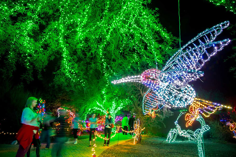 Phoenix Zoo - Lights and so much more...