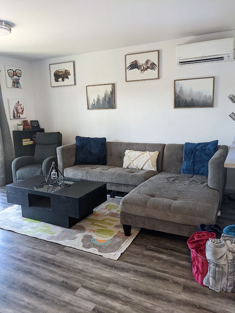 New couch & ruggable rugs pictured