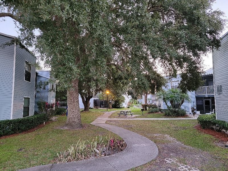 Furnished Finder property 344656_1 photo 44